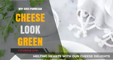 Unveiling the Greenish Sheen of Parmesan Cheese