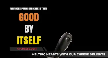 The Irresistible Charm of Parmesan: Why It's Perfect Solo