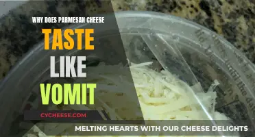 The Science Behind Parmesan Cheese's Vomit-like Taste