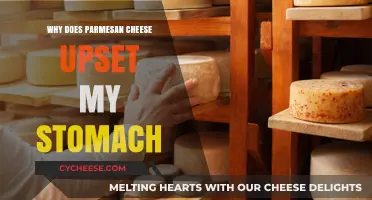Parmesan Cheese Sensitivity: Why It Hurts Your Stomach