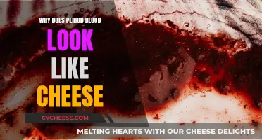 The Mystery of Period Blood's Cheesy Appearance