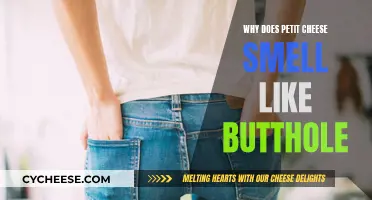 Petit Cheese's Butthole Smell: Why Does It Stink So Much?