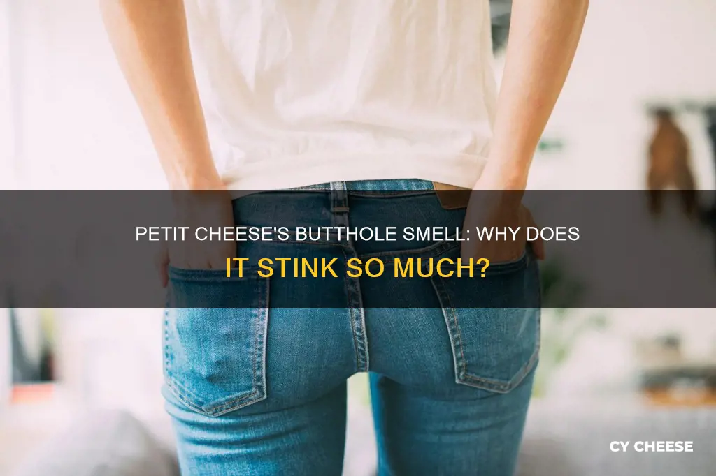 why does petit cheese smell like butthole