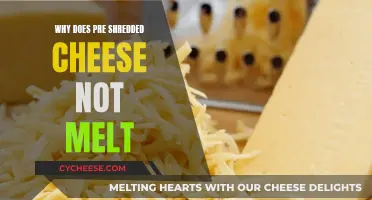 Shredded Cheese Not Melting: The Science Behind It