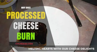 Why Processed Cheese Burns: Unraveling the Science Behind Melting Mishaps