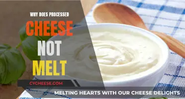 The Mystery Behind Processed Cheese's Unmeltability