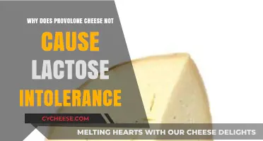 Provolone Cheese and Lactose Intolerance: Understanding the Exception