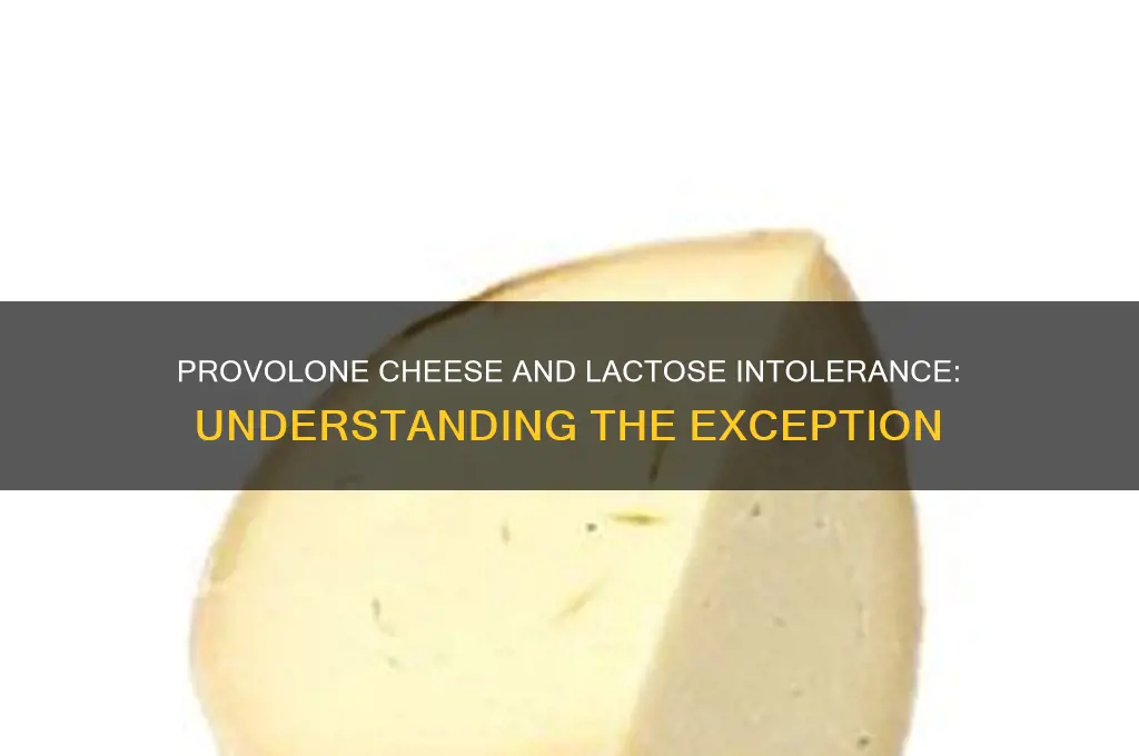 why does provolone cheese not cause lactose intolerance