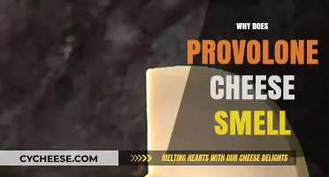 Why Provolone Cheese Smells: Uncovering the Science Behind Its Aroma