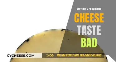 The Unpleasant Taste of Provolone Cheese: Why?