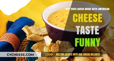 Why American Cheese Makes Queso Taste Funny: A Tasty Mystery