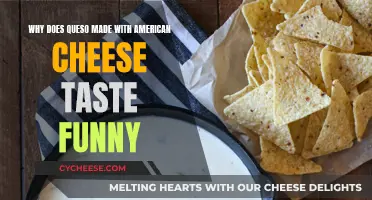 American Cheese Queso: Why Does It Taste Odd?