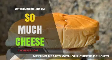 Rachael Ray's Cheesy Secret: Why So Much Cheese in Her Recipes?