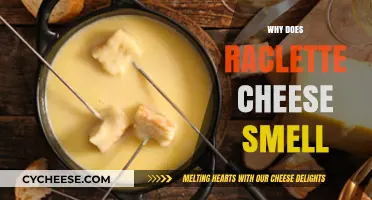 Why Raclette Cheese Smells: Uncovering Its Unique Aroma Secrets