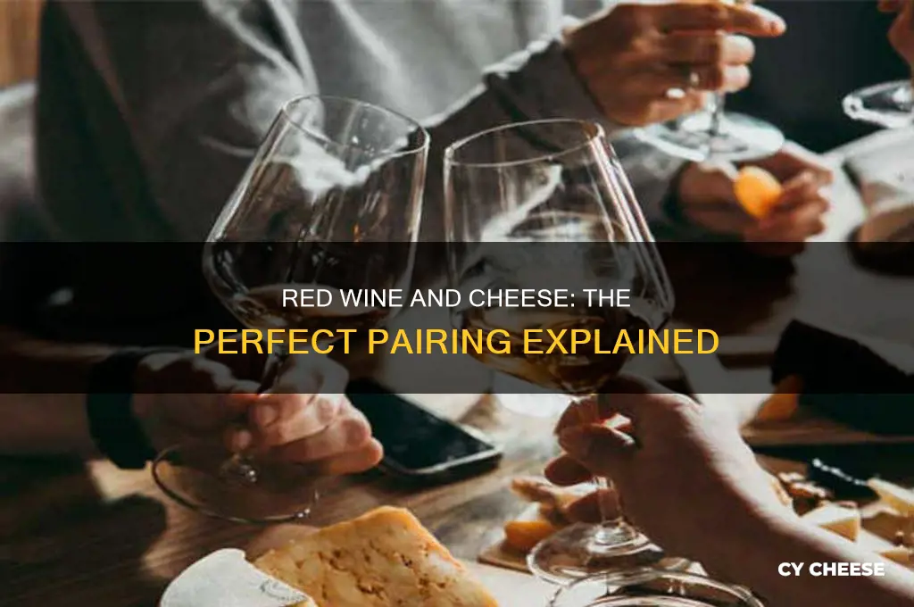 why does red wine go well with cheese