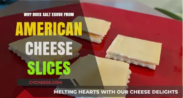 Why American Cheese Slices Sweat Salt: The Science Explained
