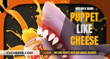 Shark Puppet's Cheesy Delight: Why the Love for Cheese?