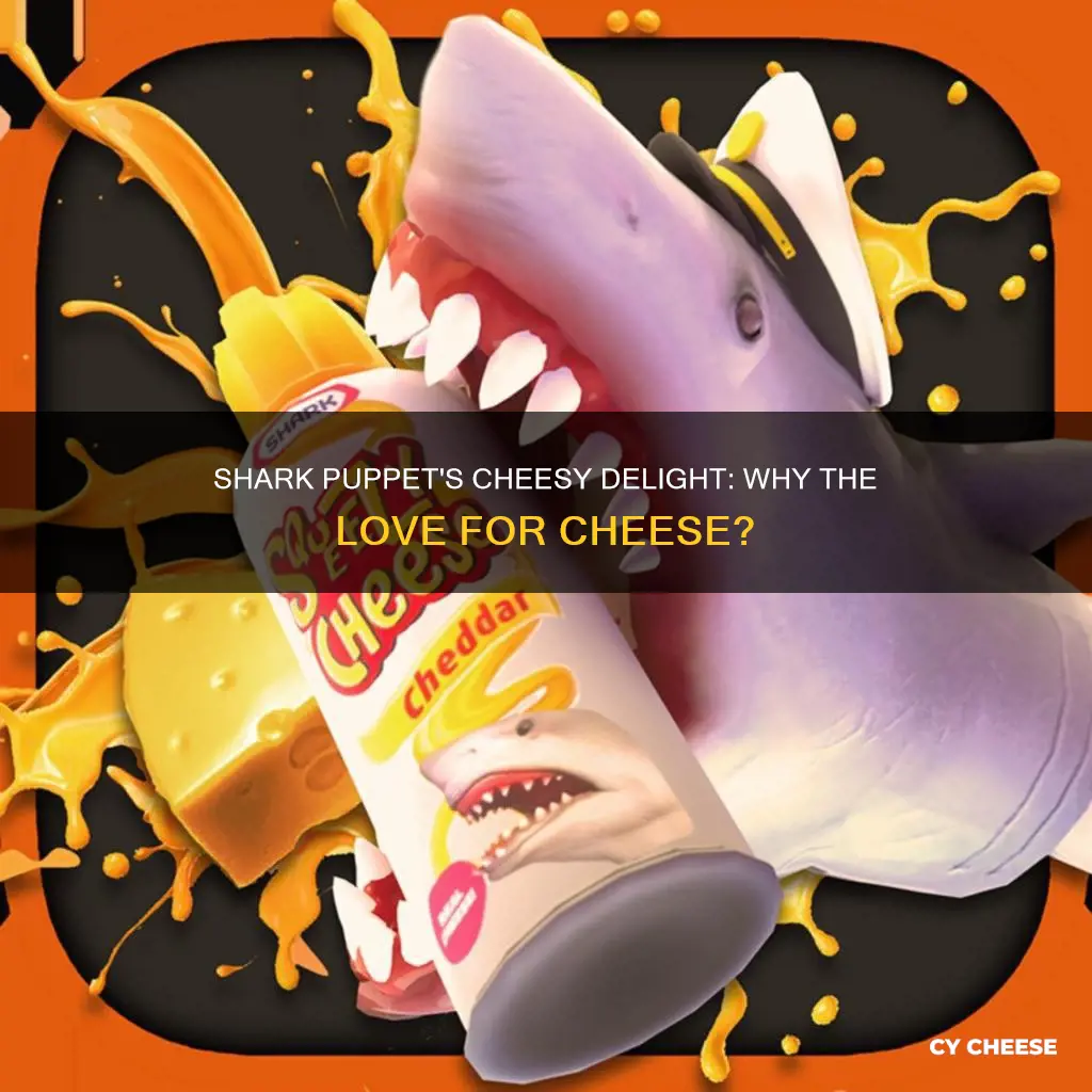 why does shark puppet like cheese