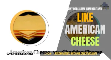 The Cheddar-American Cheese Connection: Unraveling the Flavor Mystery