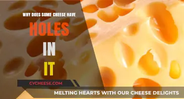 Why Swiss Cheese Has Holes: The Science Behind the Air Pockets