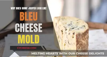 Moldy Mystery: Jasper's Bleu Cheese Appearance