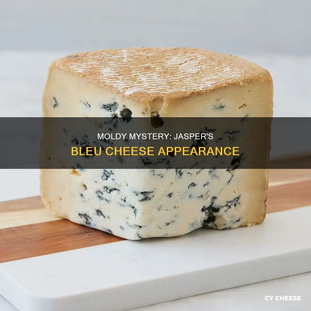 why does some jasper look like bleu cheese mold