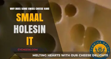 Swiss Cheese Holes: Why the Mystery?