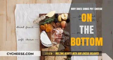 Sonic's Signature Move: Cheese on the Bottom