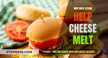 Steam Power: Melting Cheese with Moisture