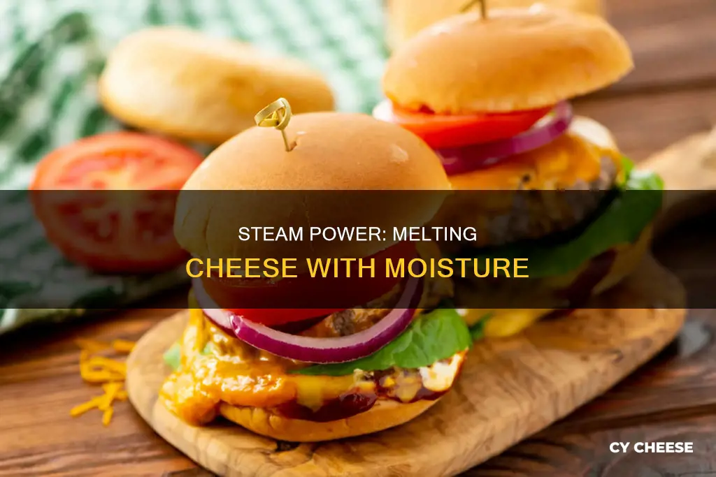 why does steam help cheese melt