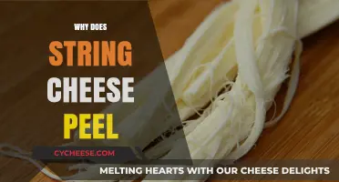 Why String Cheese Peels: The Science Behind the Stretchy Snack