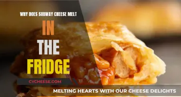 Mysterious Melting Subway Cheese: Fridge Magnetism?