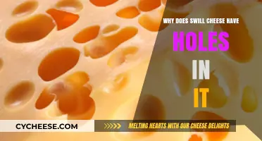The Science Behind Swiss Cheese: Why Those Holes Exist