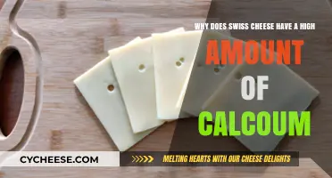 Swiss Cheese Calcium: Nutritional Benefits Explained