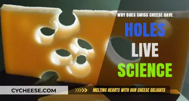 Swiss Cheese Holes: A Scientific Mystery Explained