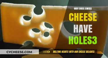 Swiss Cheese Holes: A Mystery Explained