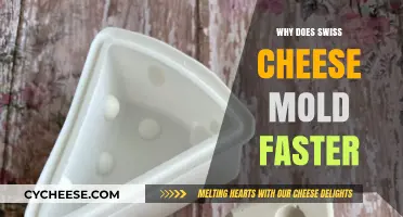 Swiss Cheese Mold: Why Does It Happen Faster?