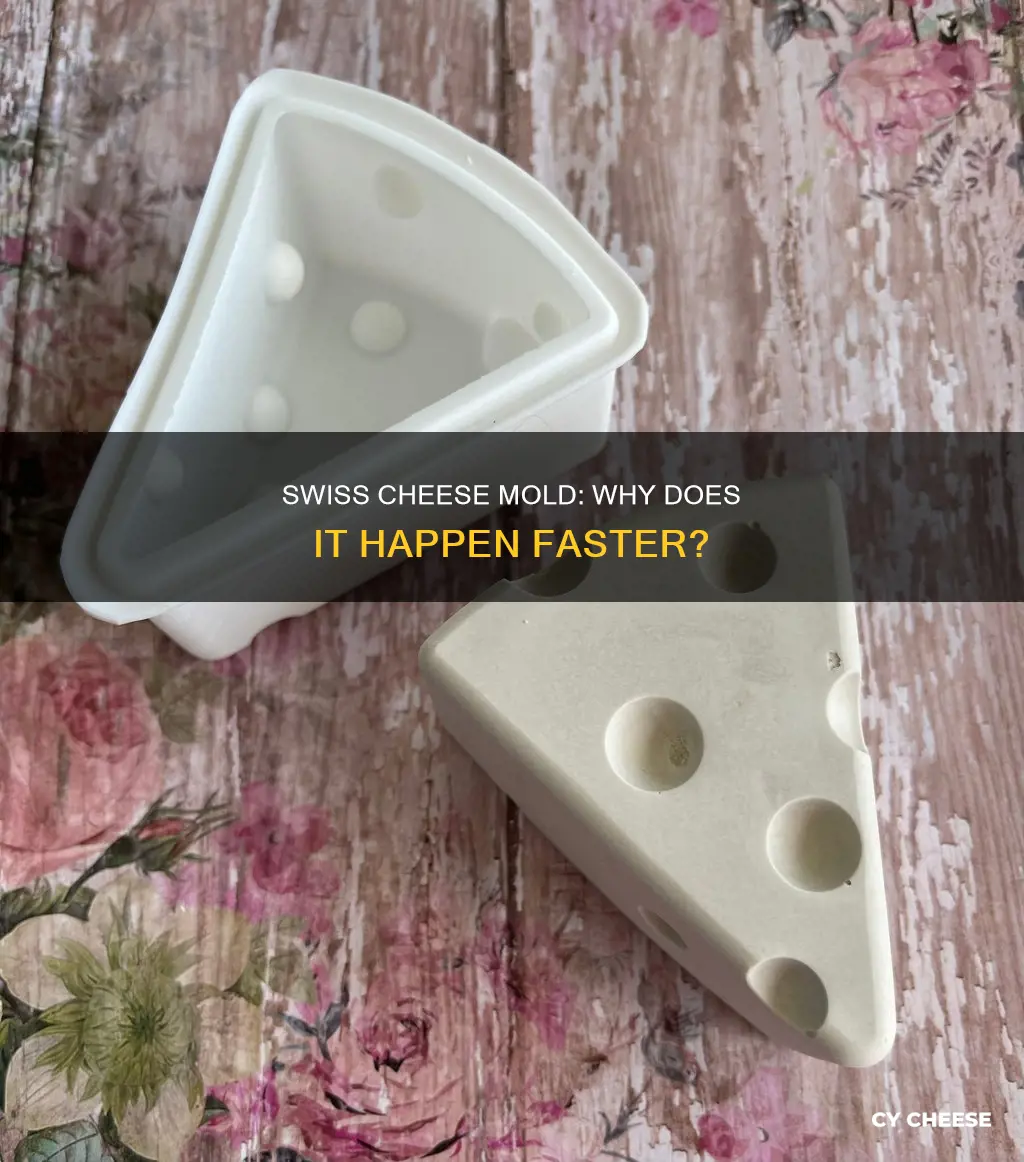 why does swiss cheese mold faster