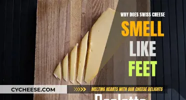 Swiss Cheese's Foot Odor Mystery: Unraveling the Stinky Riddle