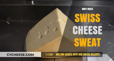 Swiss Cheese Sweating Mystery: What's Behind It?
