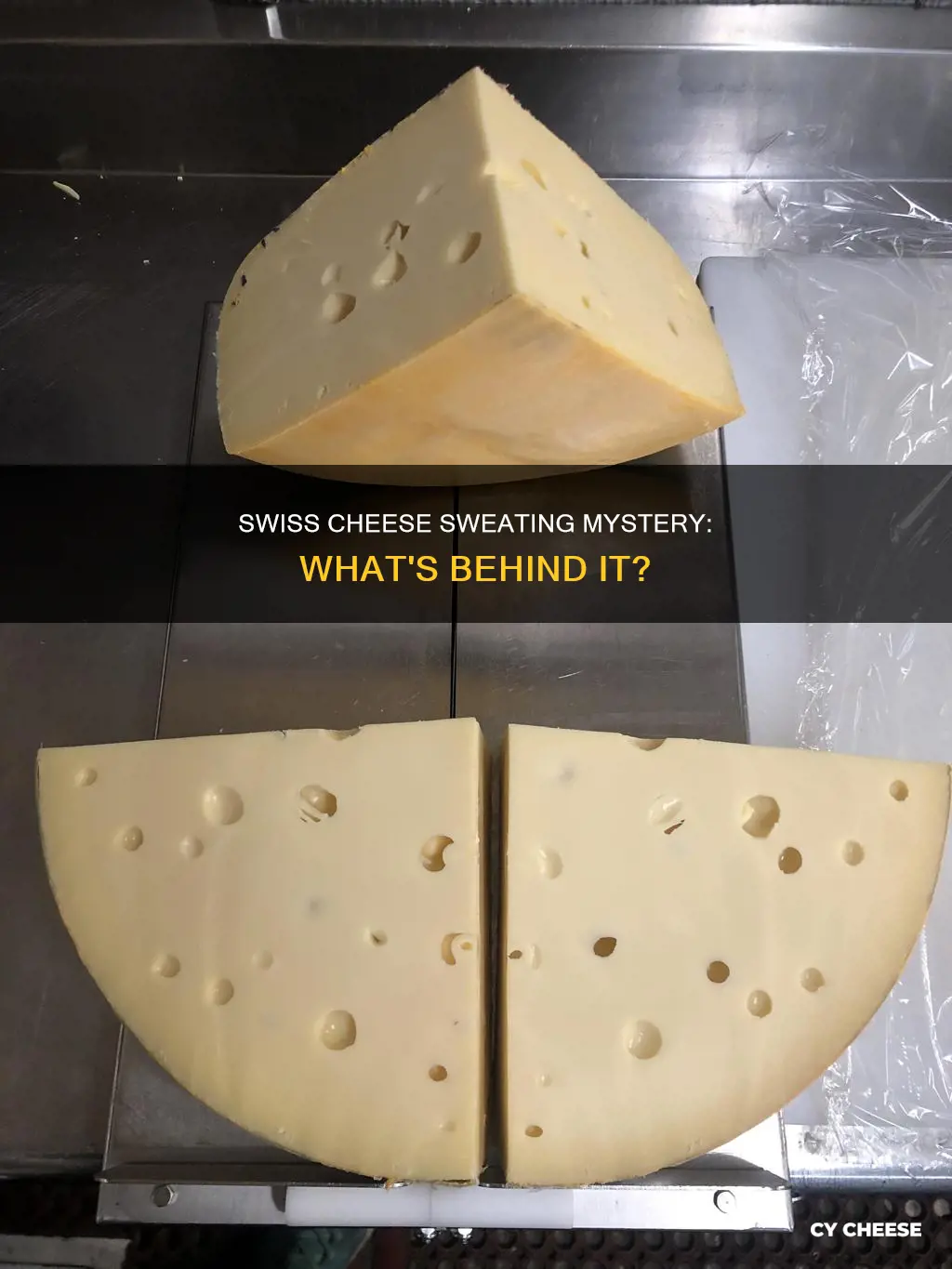 why does swiss cheese sweat