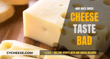 Swiss Cheese: Why Does it Taste So Bad?