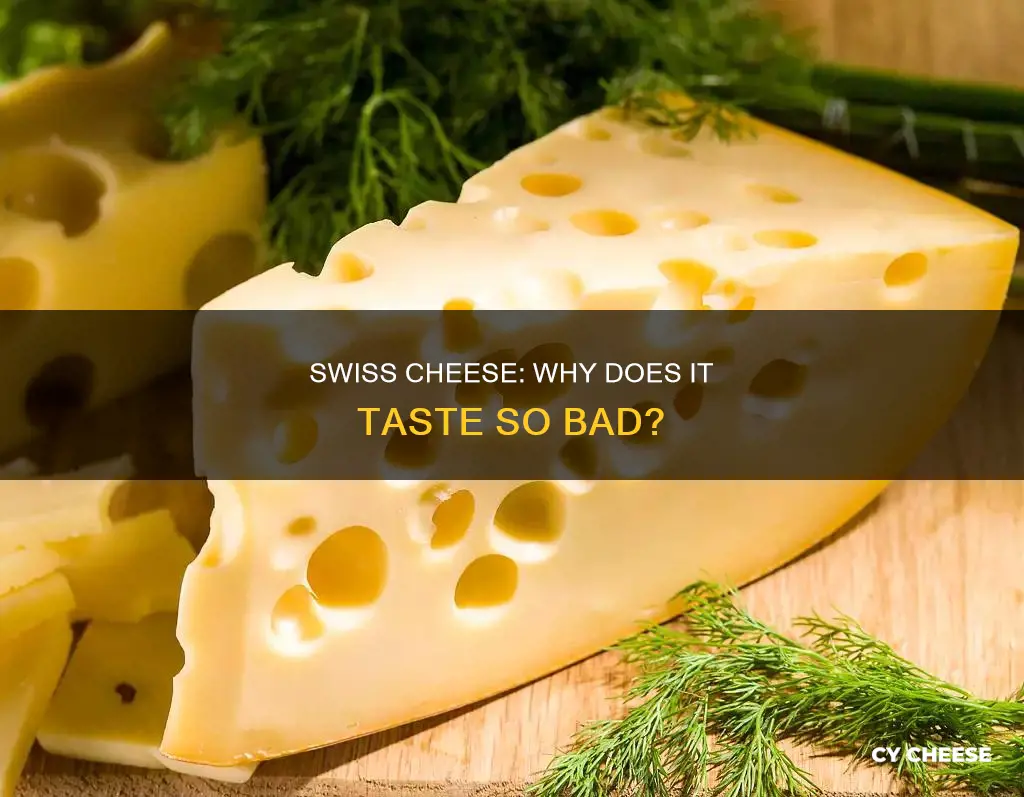 why does swiss cheese taste bad