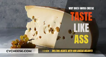 Swiss Cheese's Stinky Taste: What's the Deal?