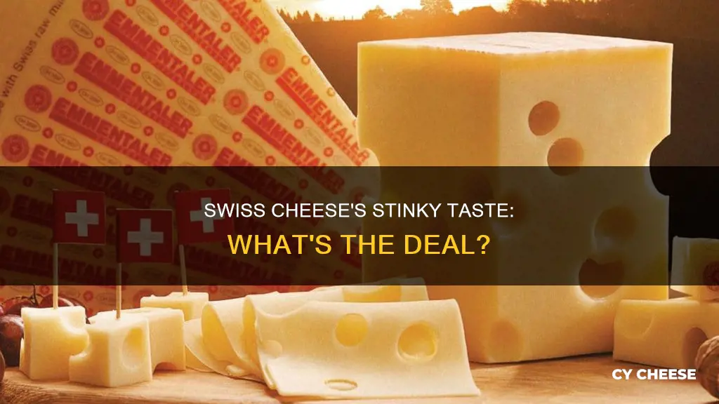why does swiss cheese taste like ass