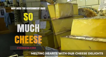 Why Does the Government Have So Much Cheese? Unraveling the Mystery