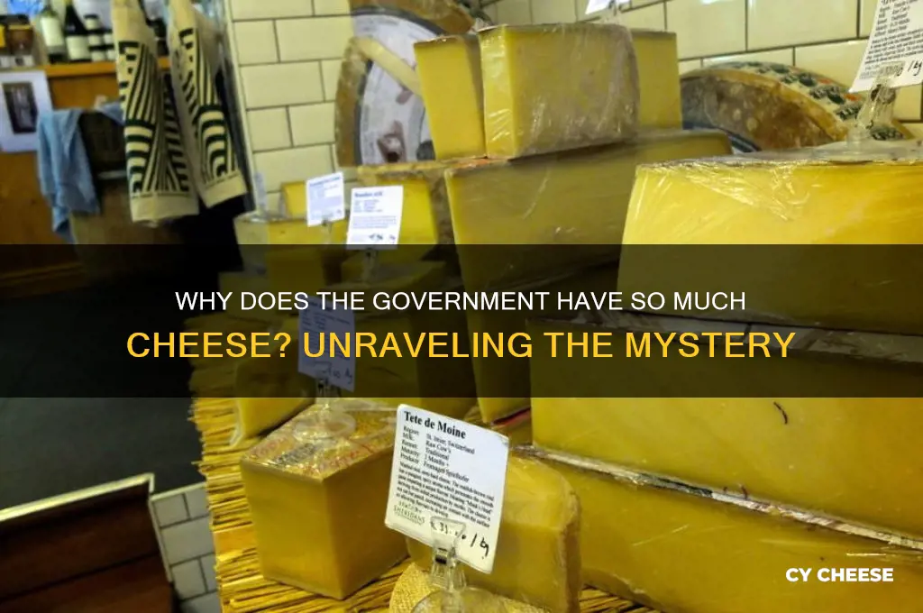why does the government have so much cheese