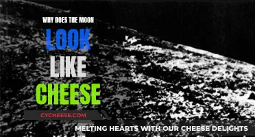 Moon's Cheesy Appearance: Why It Looks Like Cheese