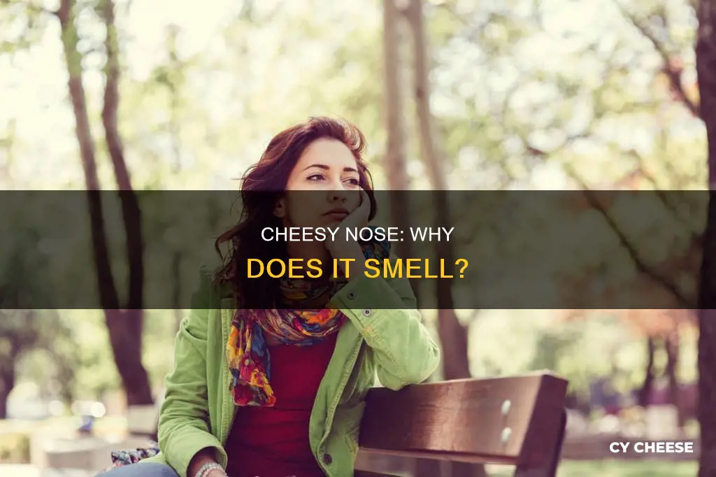 why does the side of my nose smell like cheese
