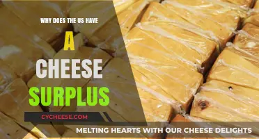 Why America's Cheese Surplus Keeps Growing: Causes and Consequences